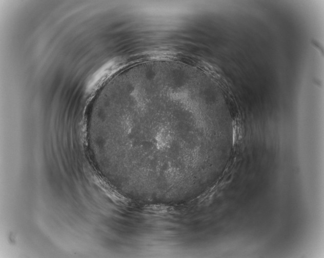 X0000103270339200808291245