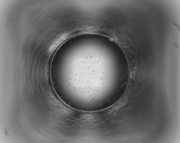 X0000103270341200808291245