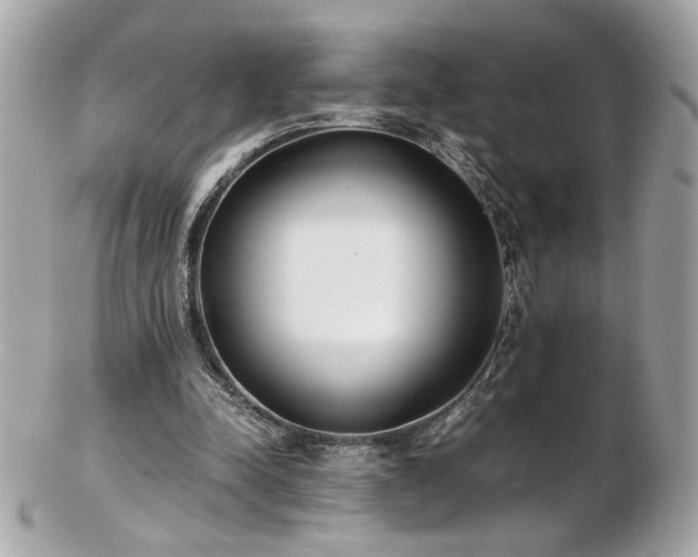 X0000103270342200808291245