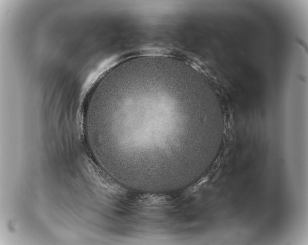 X0000103270343200808291245