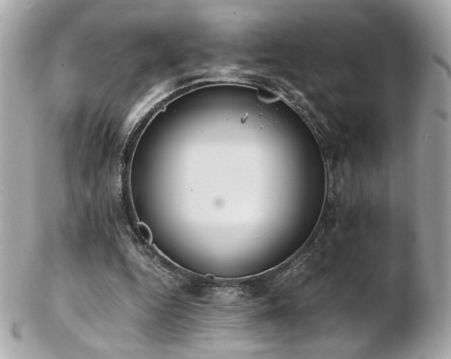X0000103270344200808291245