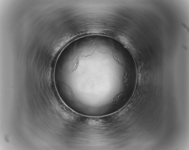 X0000103270346200808291245