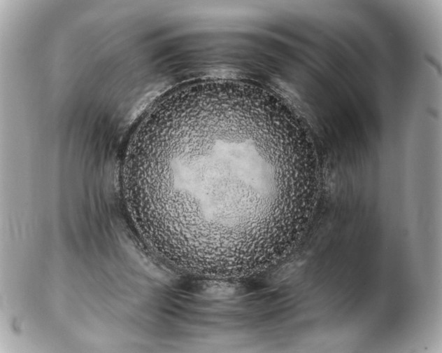 X0000103270347200808291245