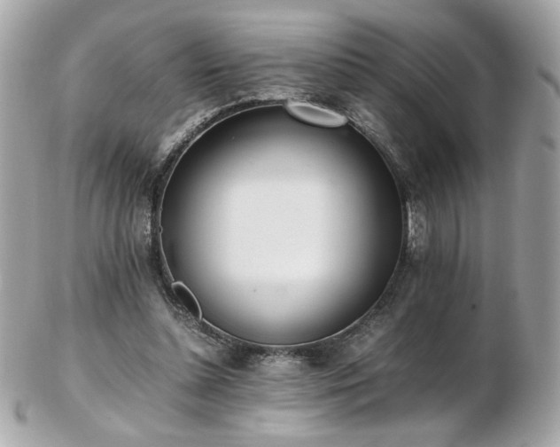 X0000103270348200808291245