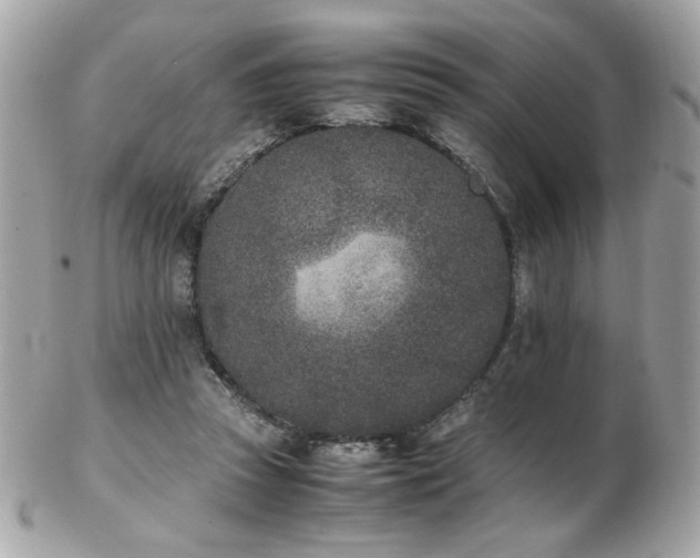 X0000103270353200808291245