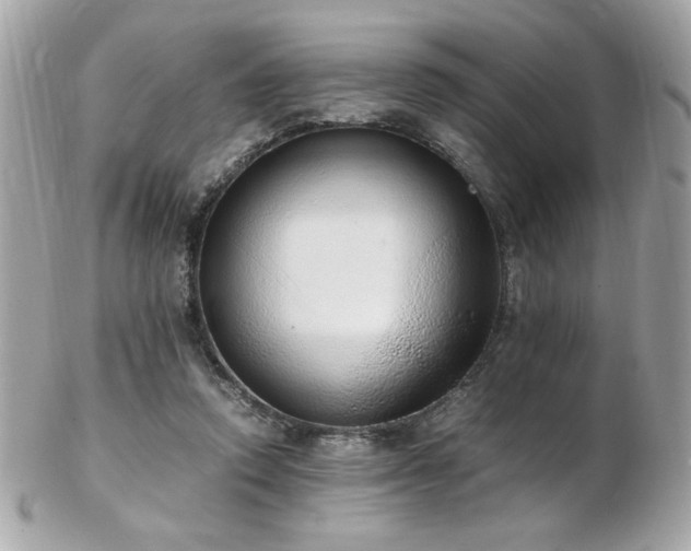 X0000103270354200808291245