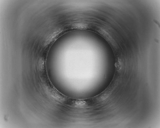 X0000103270355200808291245