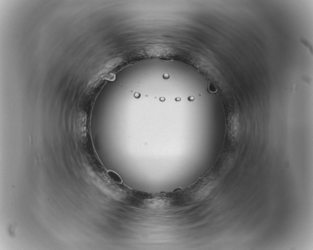 X0000103270356200808291245