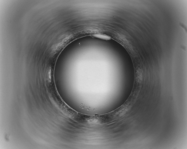 X0000103270358200808291245