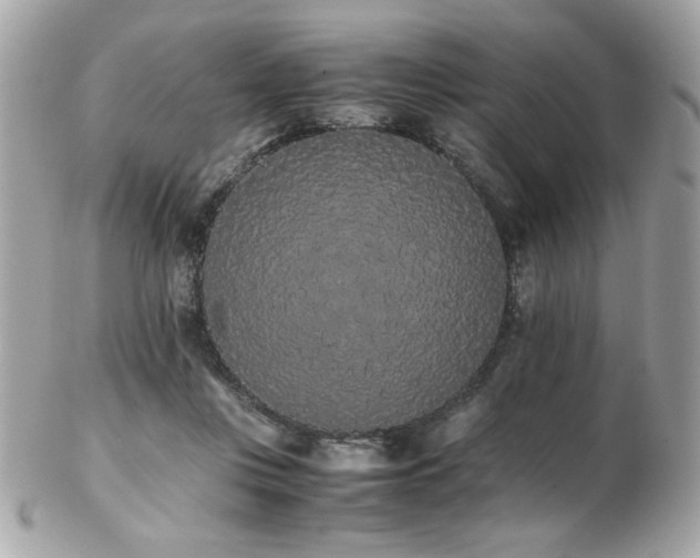 X0000103270359200808291245