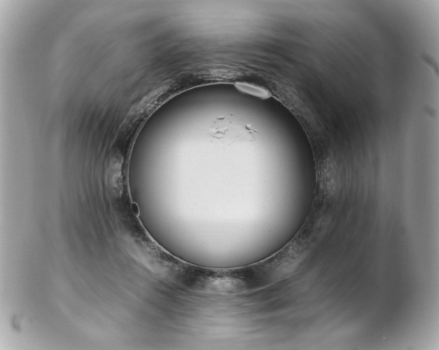 X0000103270360200808291245