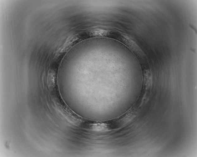 X0000103270363200808291245