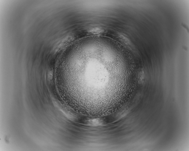 X0000103270365200808291245