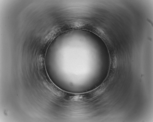 X0000103270366200808291245