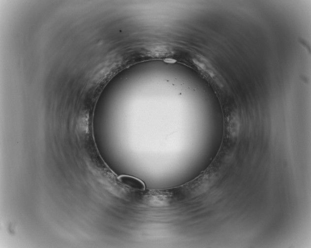 X0000103270368200808291245