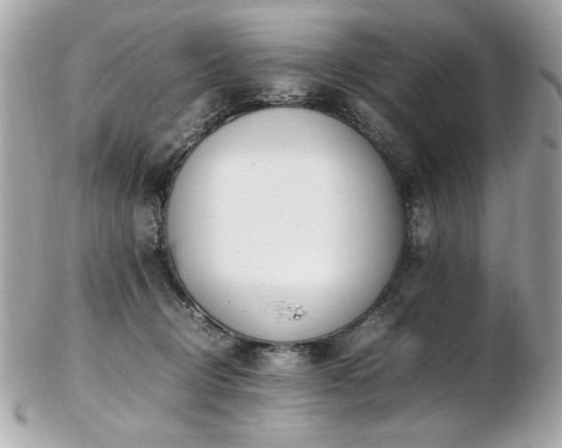 X0000103270370200808291245