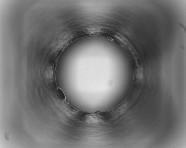 X0000103270372200808291245