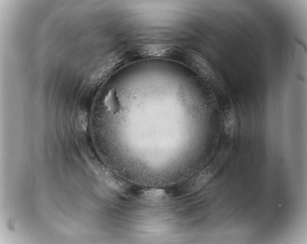 X0000103270374200808291245