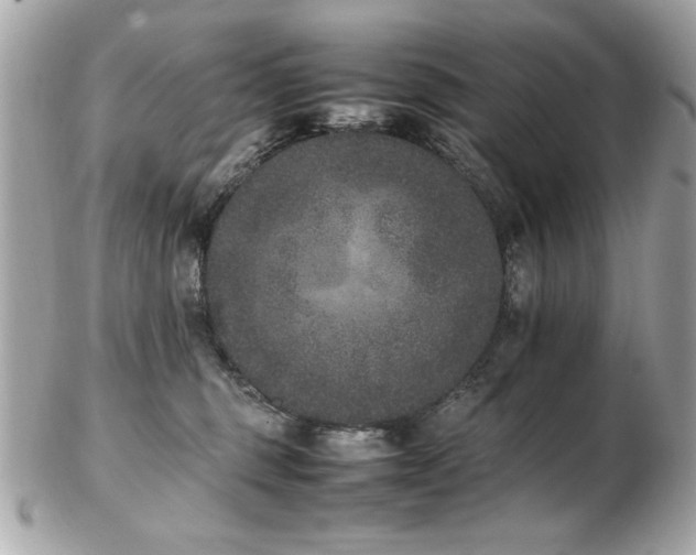 X0000103270375200808291245