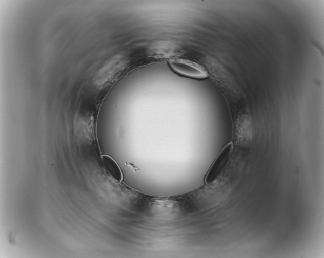 X0000103270376200808291245