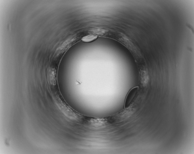X0000103270378200808291245