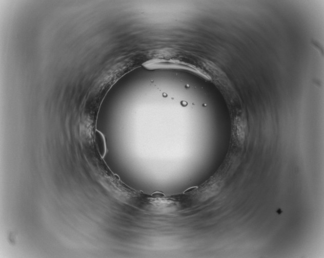 X0000103270380200808291245