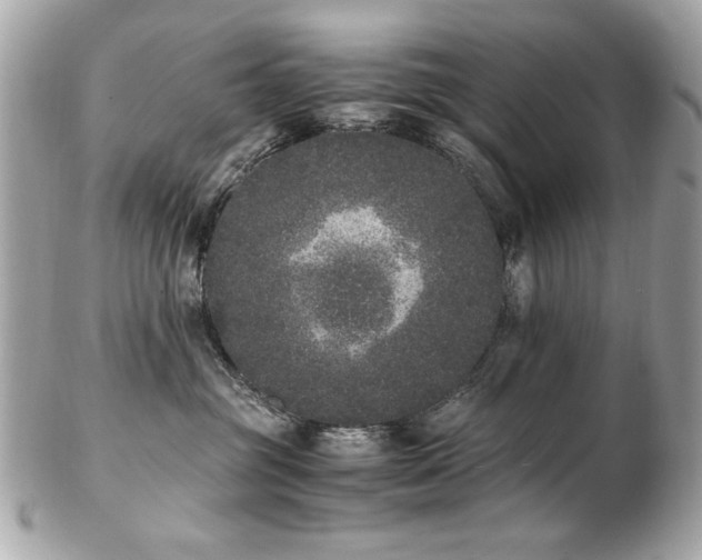 X0000103270381200808291245