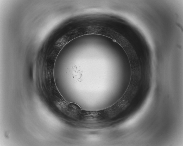 X0000103270382200808291245