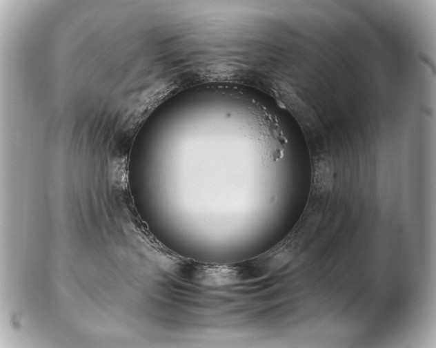 X0000103270383200808291246