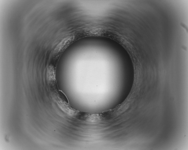 X0000103270384200808291246