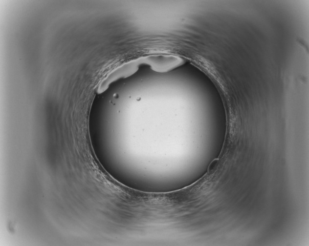 X0000103270385200808291245