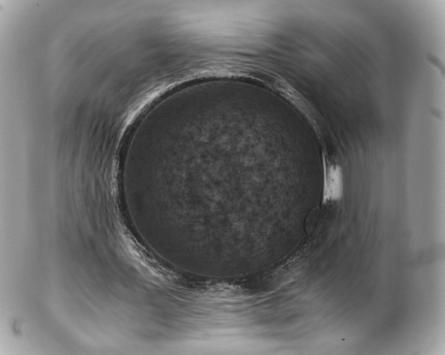 X0000103270387200808291245