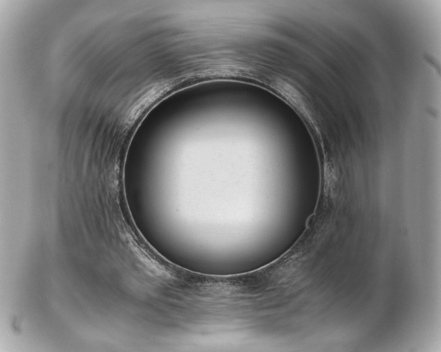 X0000103270389200808291245