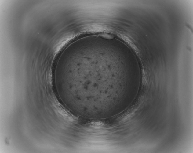 X0000103270391200808291245