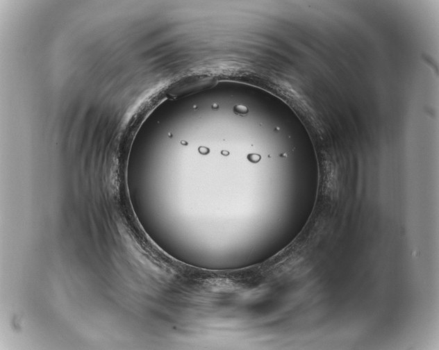 X0000103270392200808291245