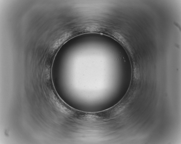 X0000103270393200808291245