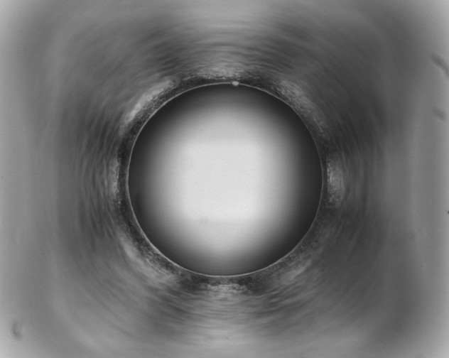 X0000103270396200808291245