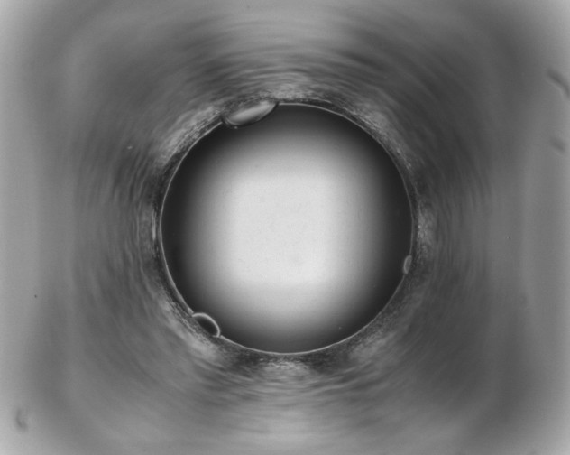 X0000103270397200808291245