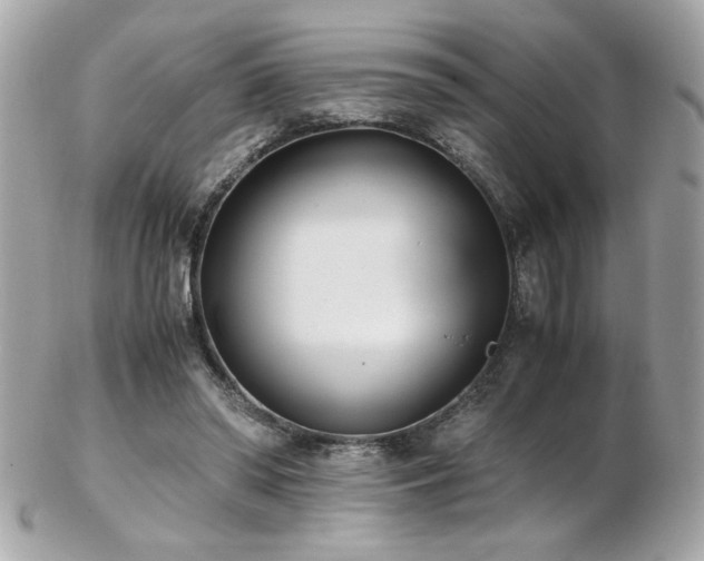 X0000103270398200808291245