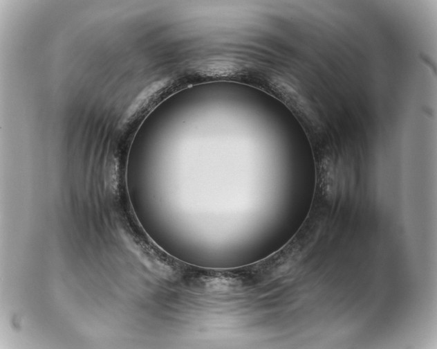 X0000103270400200808291245
