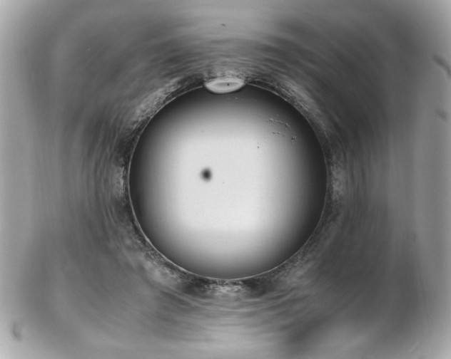 X0000103270401200808291245