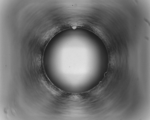 X0000103270402200808291245