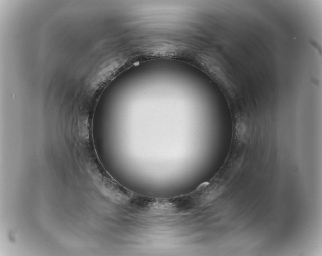X0000103270403200808291245