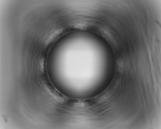 X0000103270404200808291245