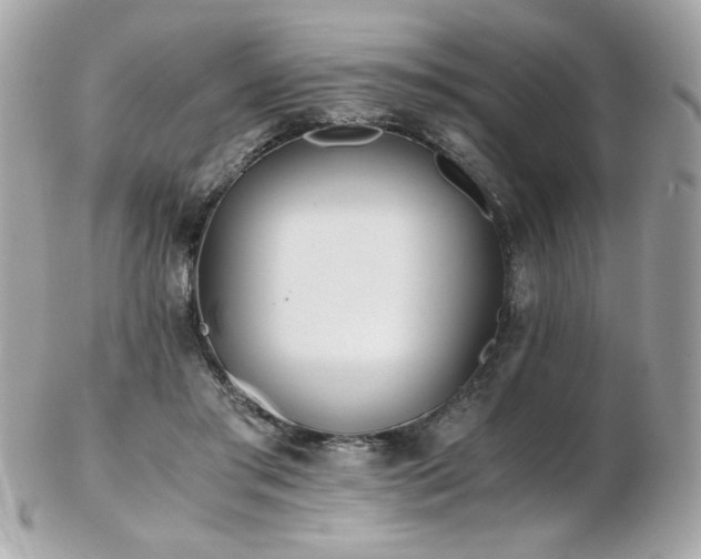 X0000103270405200808291245