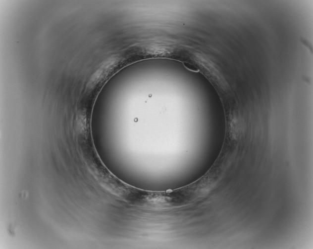 X0000103270407200808291245