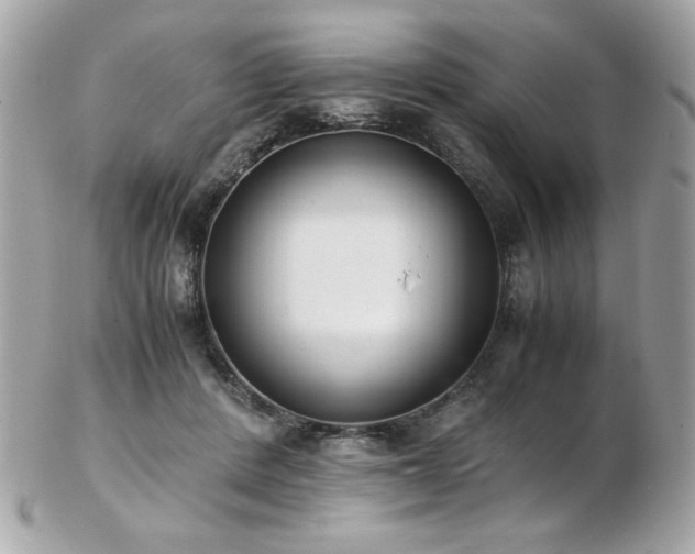 X0000103270408200808291245