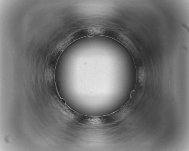 X0000103270409200808291245