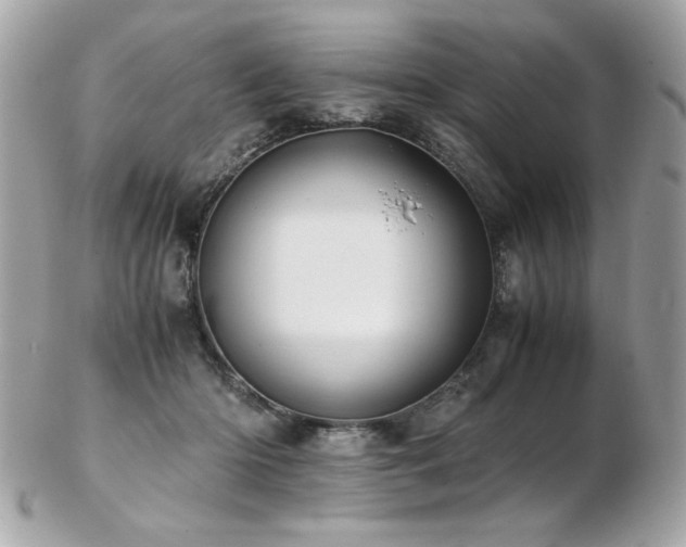 X0000103270414200808291244