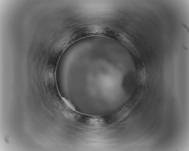 X0000103270415200808291244